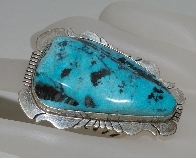 Posh Turquoise Jewelry  "Blue & Green Turquoise Rings"
