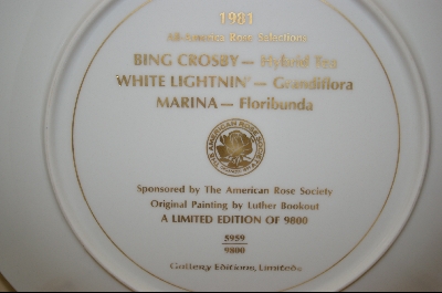 + MBA #8203   All  American Rose Selections "White Lightnin" 1981