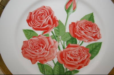 + MBA #8222   All American Rose Selections "America" 1976