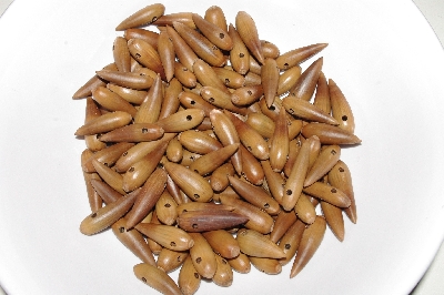 +MBAAC #01-08  "Set Of 125 Valley Oak Acorn Beads"