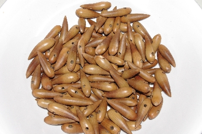 +MBAAC #01-10  "Set Of 125 Valley Oak Acorn Beads"
