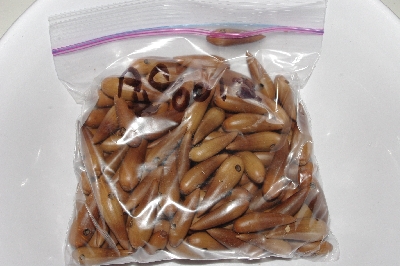 +MBAAC #01-12  "Set Of 125 Valley Oak Acorn Beads"