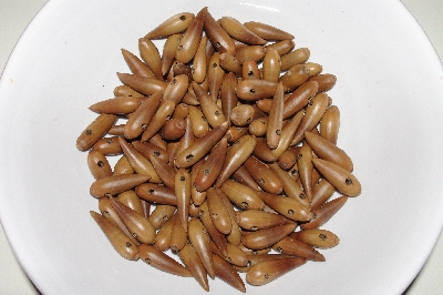 +MBAAC #01-12  "Set Of 125 Valley Oak Acorn Beads"