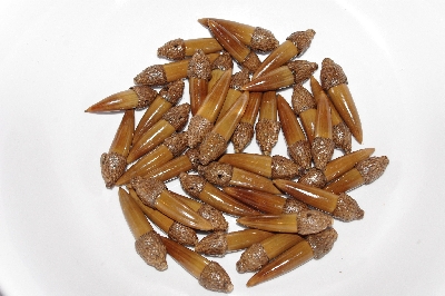 +MBAAC #02-01  "Set Of 40 Capped Valley Oak Acorn Beads"