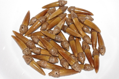 +MBAAC #02-02  "Set Of 40 Capped Valley  Oak Acorn Beads"