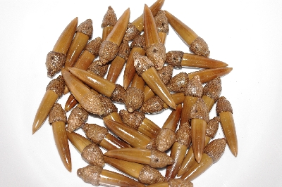 +MBAAC #02-08  "Set Of 40 Capped Valley Oak Acorn Beads"