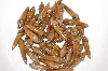 +MBAAC #02-08  "Set Of 40 Capped Valley Oak Acorn Beads"