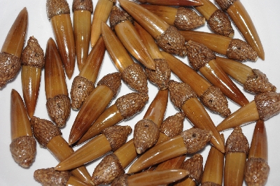 +MBAAC #02-16  "Set Of 40 Capped Valley Oak Acron Beads"