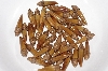 +MBAAC #02-16  "Set Of 40 Capped Valley Oak Acron Beads"