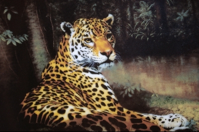 +MBA #4-217   "1991 "The Jaguar" Artist Charles Frace