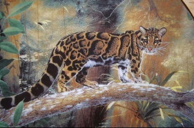 +MBA #4-213   "1991 "The Clouded Leopard" Artist Charles Frace