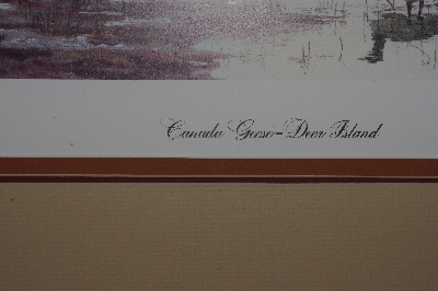 +MBAP #0031-0026  "1984 Canada Geese Deer Island Framed Print"
