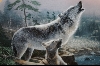 +MBA #6-074   "1991 "Howling Lesson" By Artist Kevin Daniel