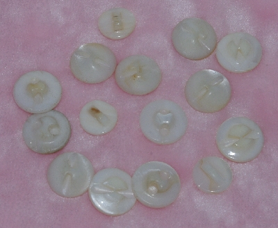 MBA #1616-159  "Lot Of 15 Vintage White Shell Buttons"
