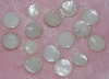 MBA #1616-159  "Lot Of 15 Vintage White Shell Buttons"