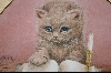 "SOLD" MBA #7-150   "1992 "Little Scholar" By Artist Bob Harrison