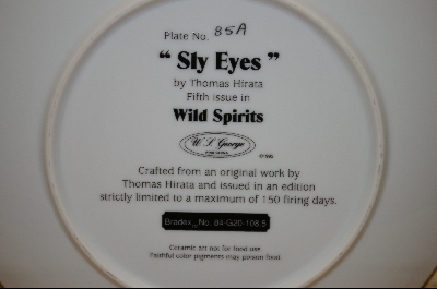+MBA #8-380   "1993 "Sly Eyes" By Artist Thomas Hirata