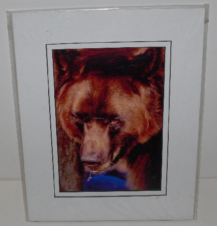 +MBA #3535-141    "Len Tillin 8X10 Matted Grizzly Bear Photo"