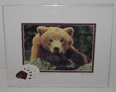 +MBA #3535-0135   "2001 Double Matted With Fancy Bear Foot "Bear Stare" Alissa Crandall Bear Photo"
