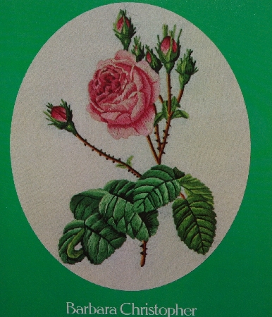 +MBA #3939-237   "1982 Redoute Roses Iron On Transfer Patterns" By Barbara Christopher