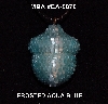 +MBA #EA-0078  "Frosted Aqua Blue Glass Seed Bead Acorn Pendant"