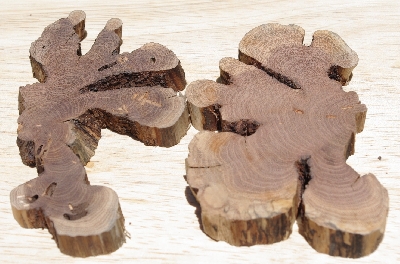 +MBA #5558-0010  " Set Of (2) Manzanita Root Slices