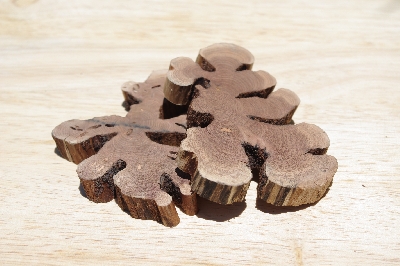 +MBA #5558-0023  "Set Of (2) Manzanita Root Slices"