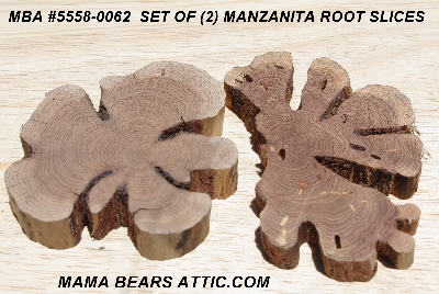 +MBA #5558-0062  "Set Of (2) Sliced Manzanita Root"