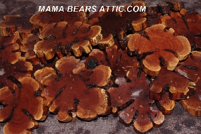 +MBA #5558-107  "Set Of (2) Manzanita Root Slices"