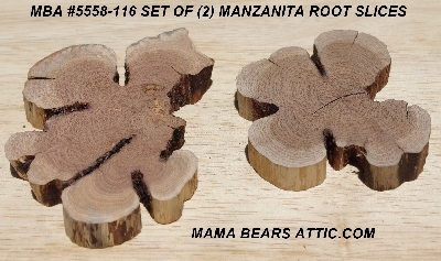 +MBA #5558-116  "Set Of (2) Manzanita Root Slices"