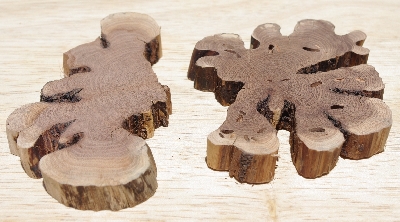 +MBA #5558-132  "Set Of (2) Manzanita Root Slices"