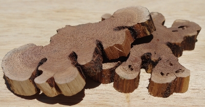 +MBA #5558-132  "Set Of (2) Manzanita Root Slices"