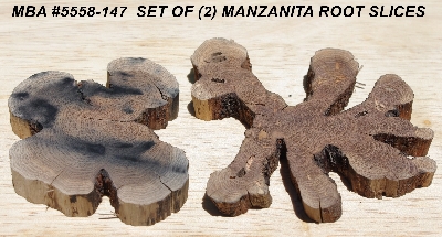 +MBA #5558-147  "Set Of (2) Manzanita Root Slices"
