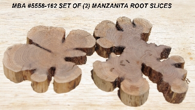 +MBA #5558-162 " Set Of (2) Manzanita Root Slices"