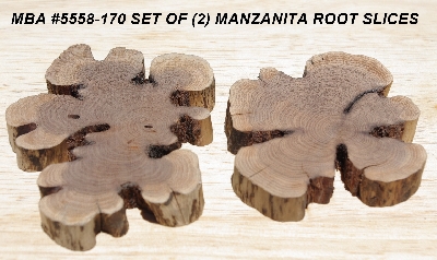 +MBA #5558-170  " Set Of (2) Manzanita Root Slices"