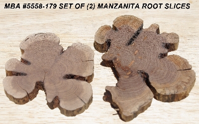 +MBA #5558-179  "Set Of (2) Manzanita Root Slices"