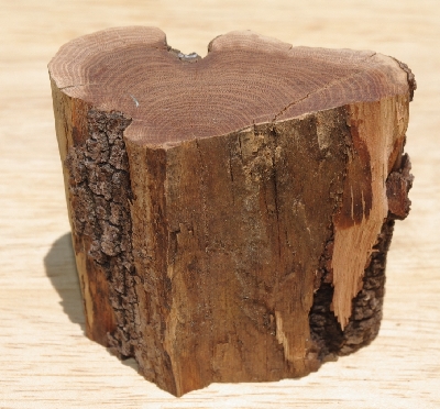 +MBA #5558-242  " Piece Of Manzanita Root"