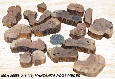 +MBA #5558-216  "Set Of (16) Manzanita Root Pieces"
