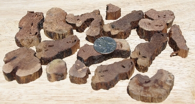 +MBA #5558-216  "Set Of (16) Manzanita Root Pieces"