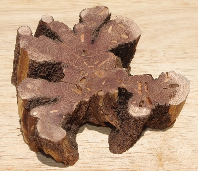 +MBA #5558-224  "Piece Of Manzanita Root"