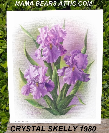 +MBA #5611-0033  "1980 Crystal Skelly "Lavender Iris" Litho #IM102"
