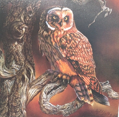 +MBA #5611-0166  "1984 Crystal Skelly "Short Eared Owl" Litho #IM34"