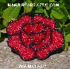 MBA #5613-271 "Red Rose Glass Bead Flower Brooch"