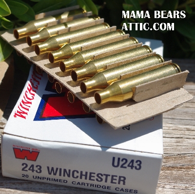 MBA #5625-1570   "1990's  Set Of  2 Boxes Of  243 Winchester 20 Un-Primed Cartridge Cases #U243"