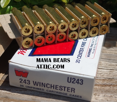 MBA #5625-1570   "1990's  Set Of  2 Boxes Of  243 Winchester 20 Un-Primed Cartridge Cases #U243"