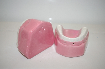 +MBA #33-149  "1981 Pink Teeth Salt & Pepper Shakers