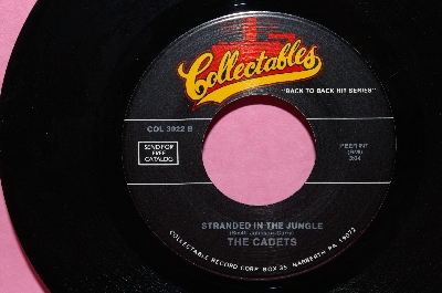 "Stranded In The Jungle" & "Eddie My Love"