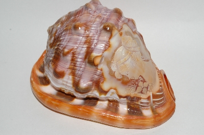 +MBA #65-106  "M+M Scognamiglio" Italian Hand Carved "Cameo" Conch Shell