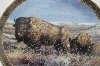 1998 Trevor V. Swanson "Roaming The Plains" Collectors Plate