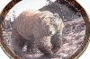 "SOLD"  MBA #68-083  "  2000 Trevor V. Swanson The Grizzly Bear  "Fishing In Still Water" Collectors Plate